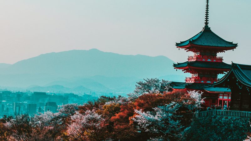 Festival no Bosque Maia celebra 114 anos da imigração japonesa neste domingo